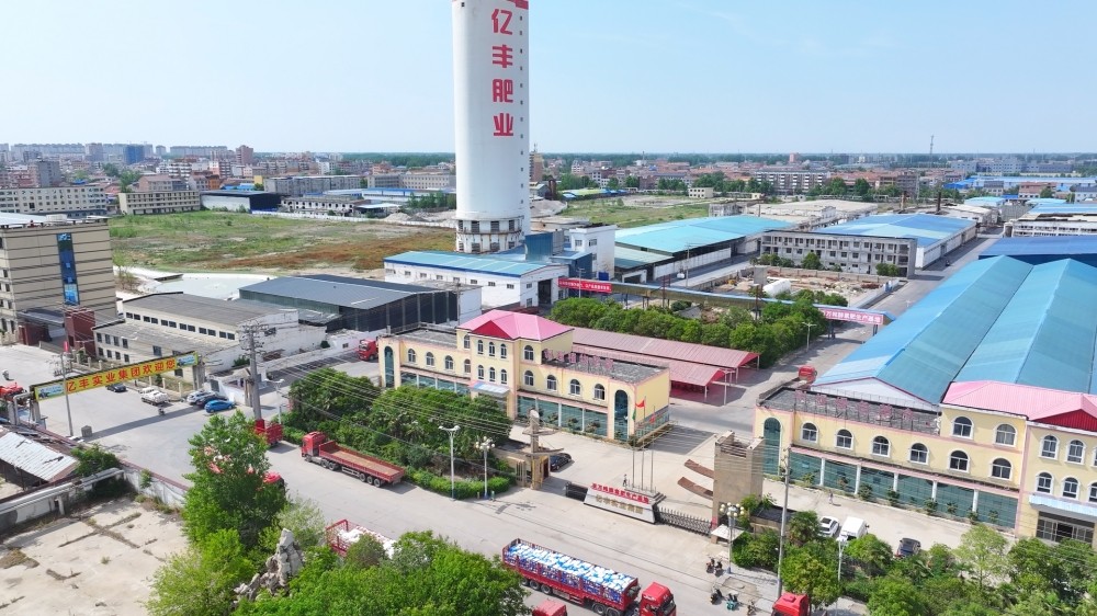 公司实景