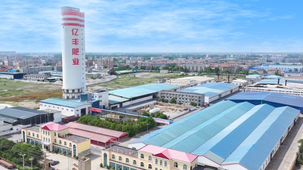 公司实景